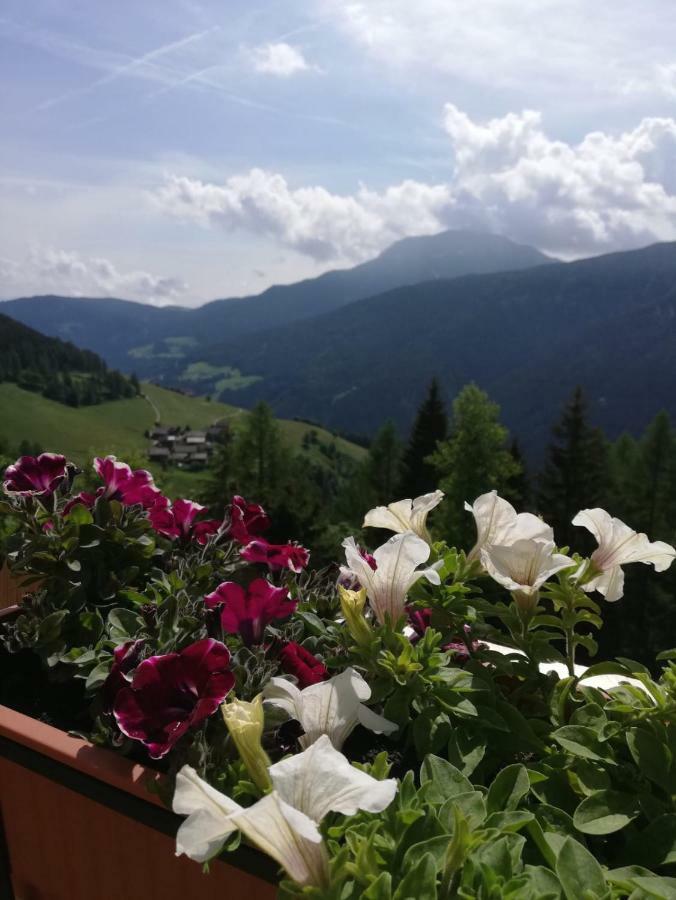 Niederhaushof Holiday home