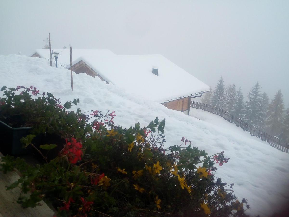 Niederhaushof Holiday home Ultimo