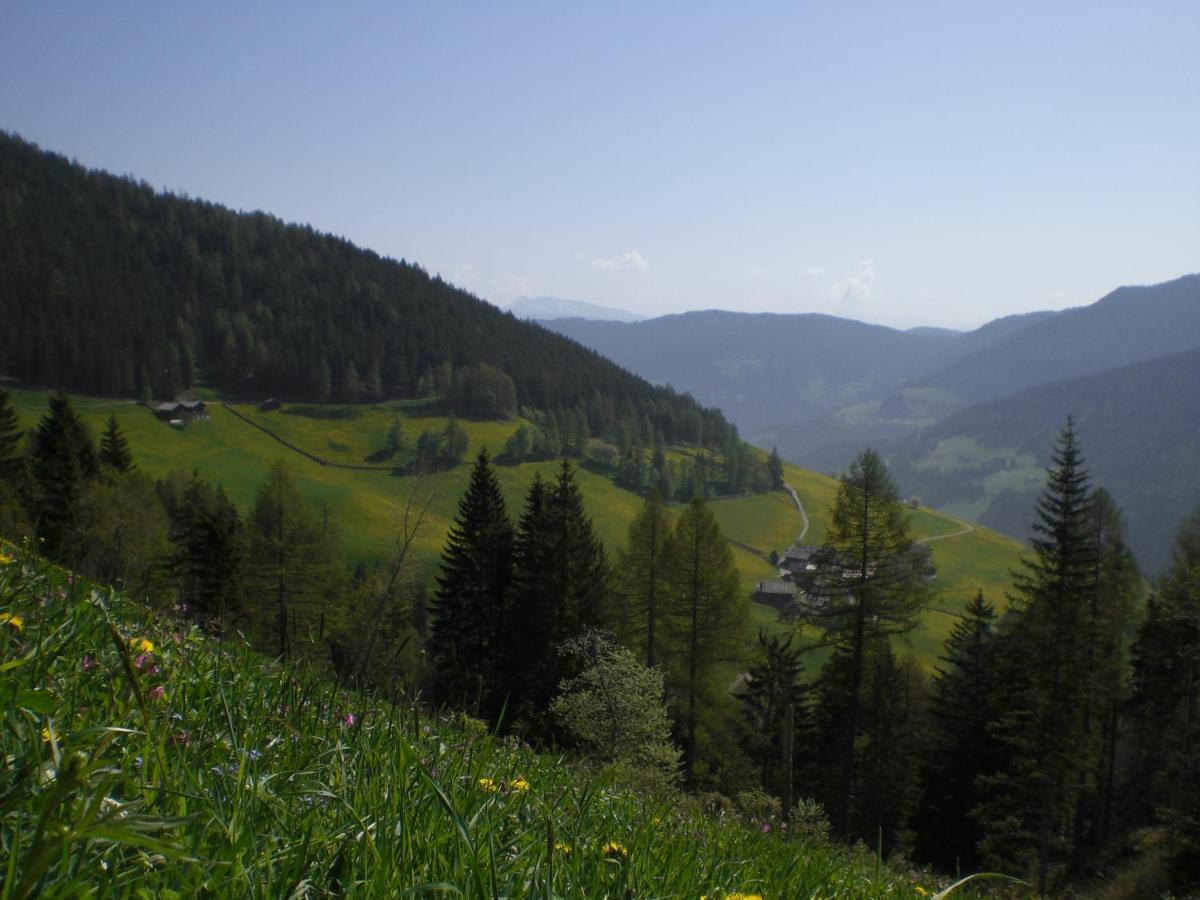 Niederhaushof Holiday home *